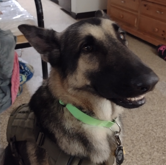 🌟Meet The Posher!🌟 - Picture 4 of 5